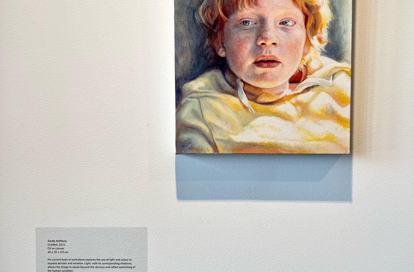 Voting is open for Peoples Choice at the Merri-bek summer show at the Counihan Gallery, Brunswick. Congrats to all the artists, it&rsquo;s lovely to see the breadth and diversity of talent on our local area. 

Vote here: https://morelandcitycouncil.s