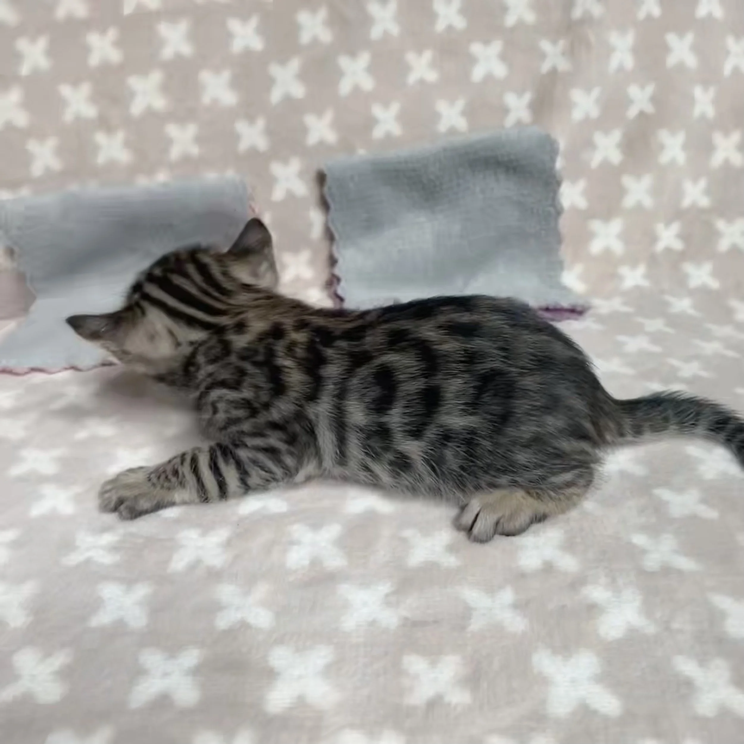 FullSizeRender 2.jpeg