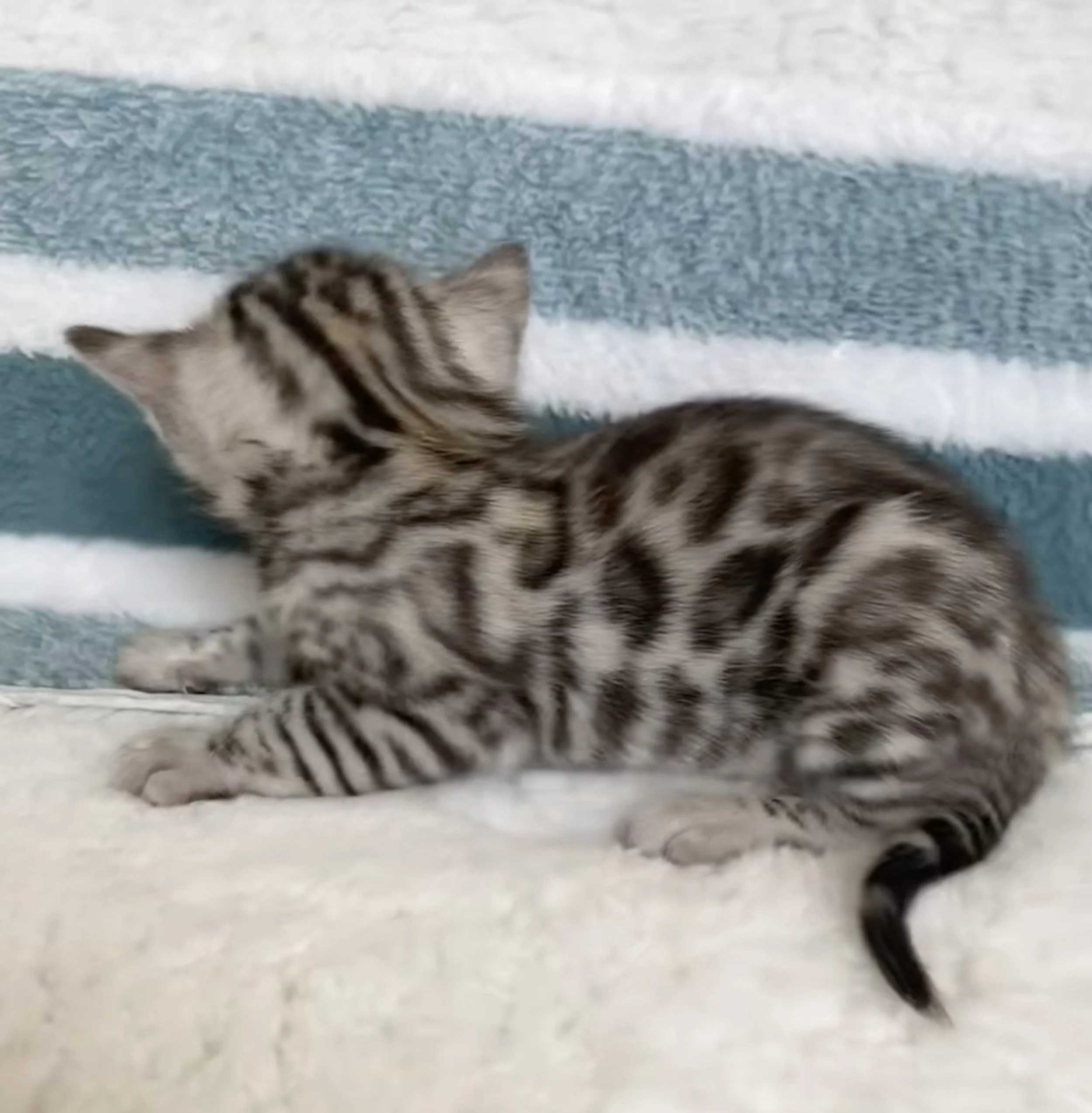 FullSizeRender 2.jpeg