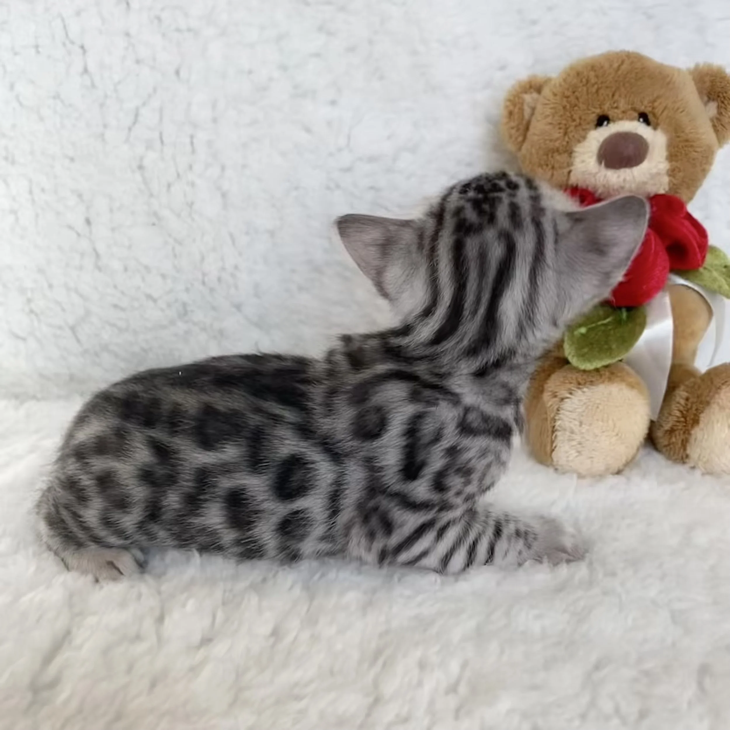 FullSizeRender 3.jpeg