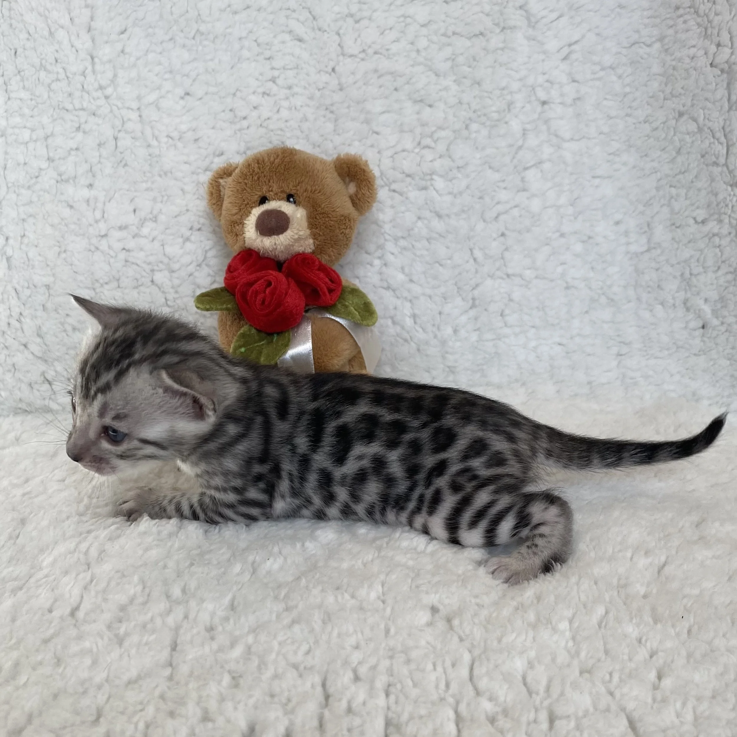 FullSizeRender 2.jpeg