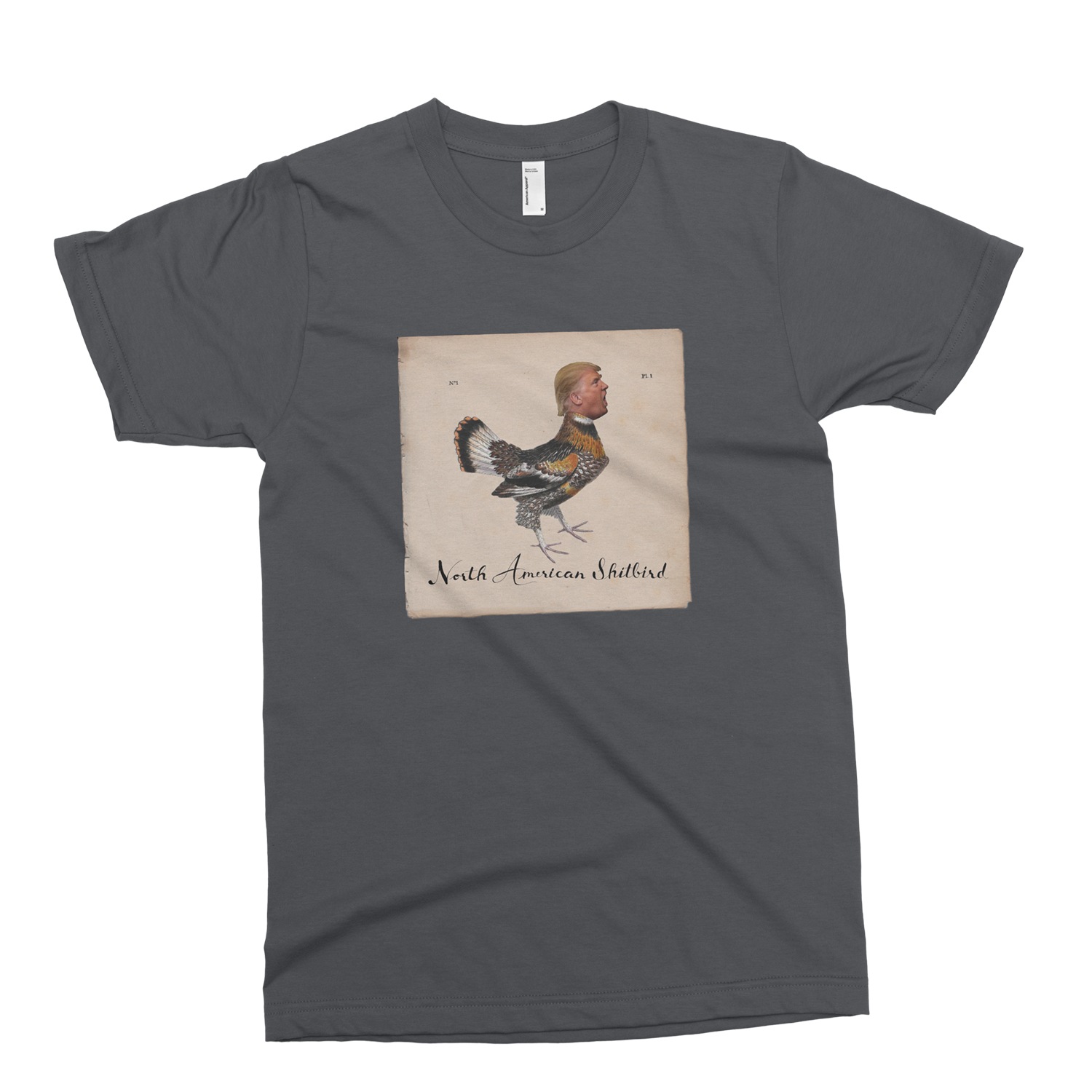 SHITBIRD_AA_ASPHALT.png