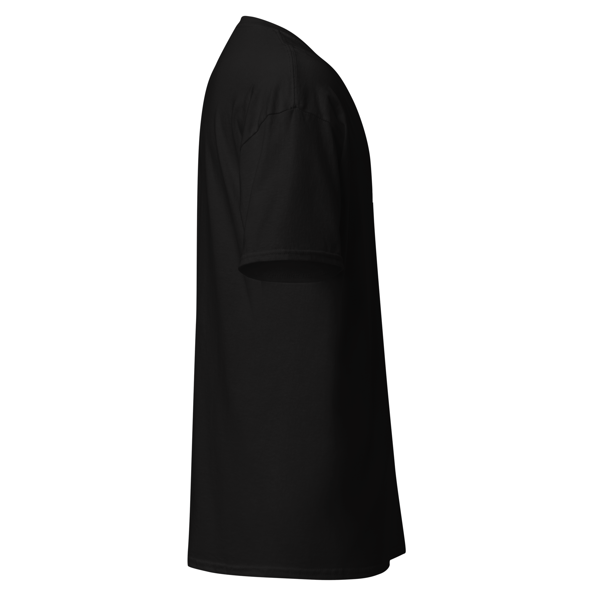 unisex-classic-tee-black-right-6a85d34601de7.png