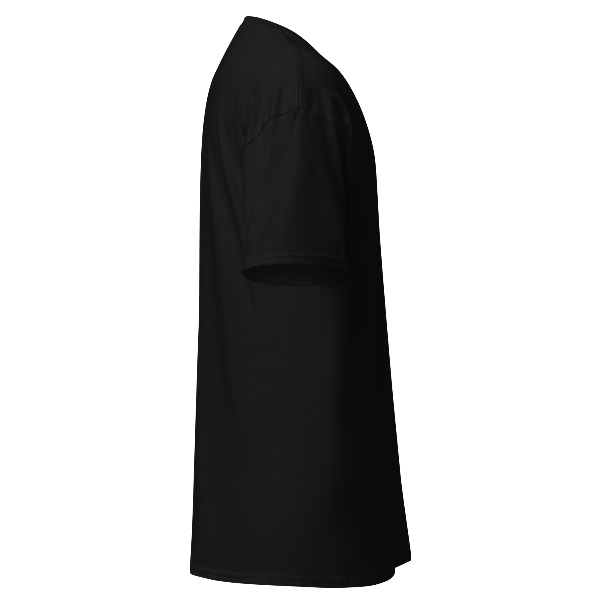 unisex-classic-tee-black-right-6a85d40271dcd.png