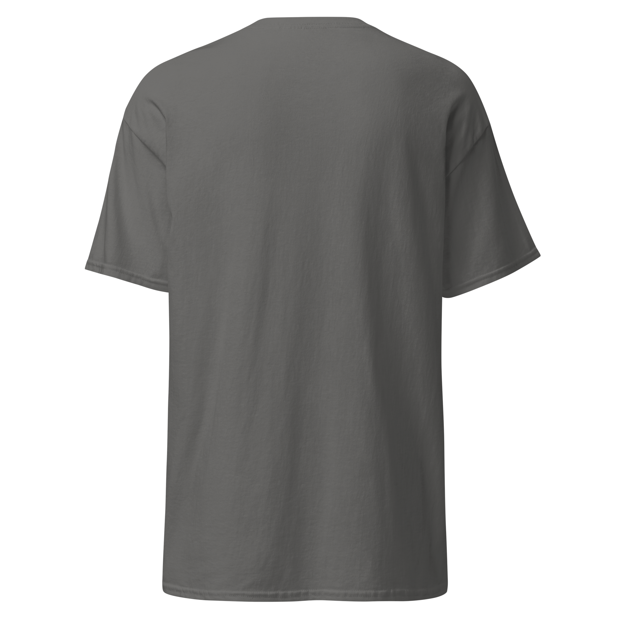 unisex-classic-tee-charcoal-back-6a85d40271797.png