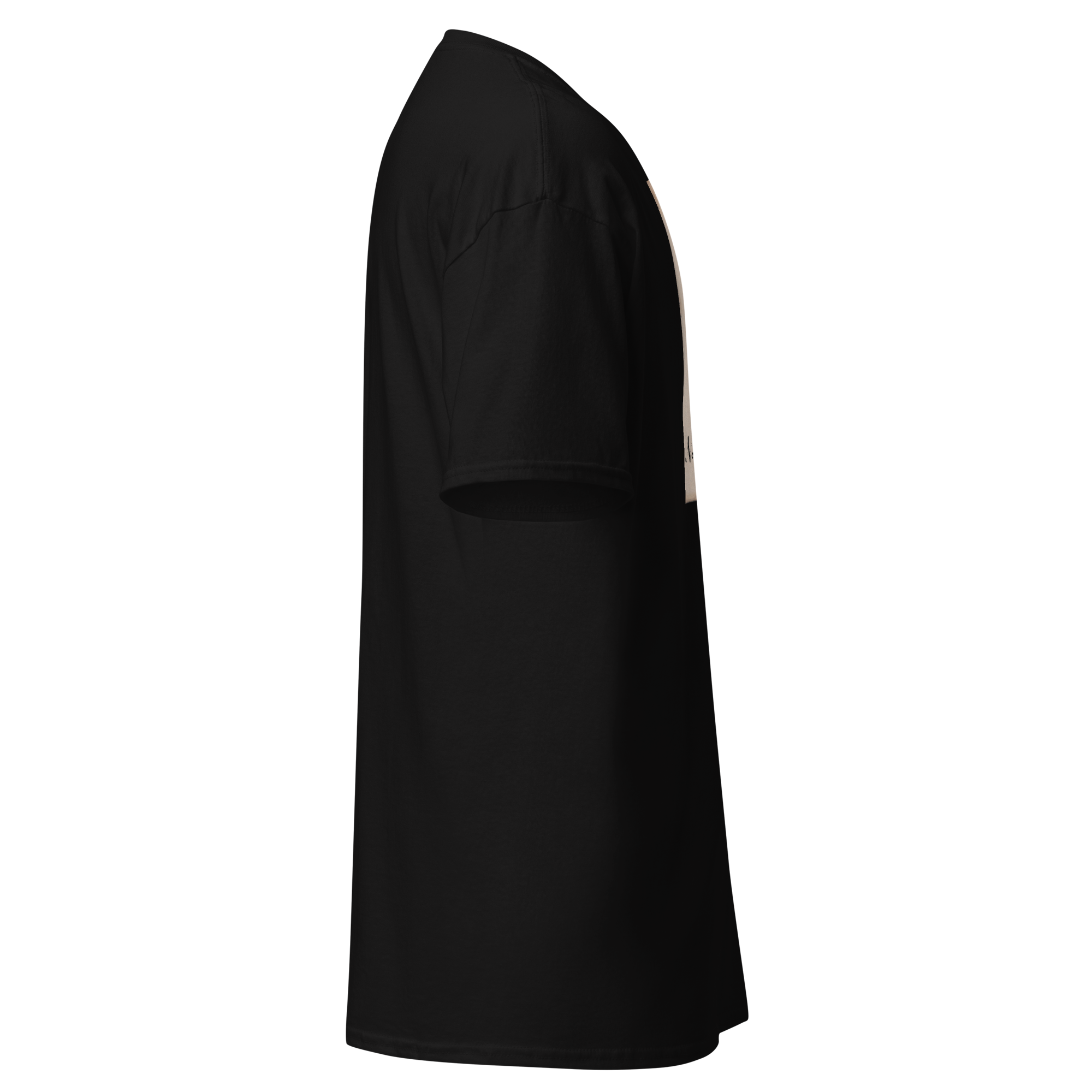 unisex-classic-tee-black-right-6a85d4a9a2edd.png