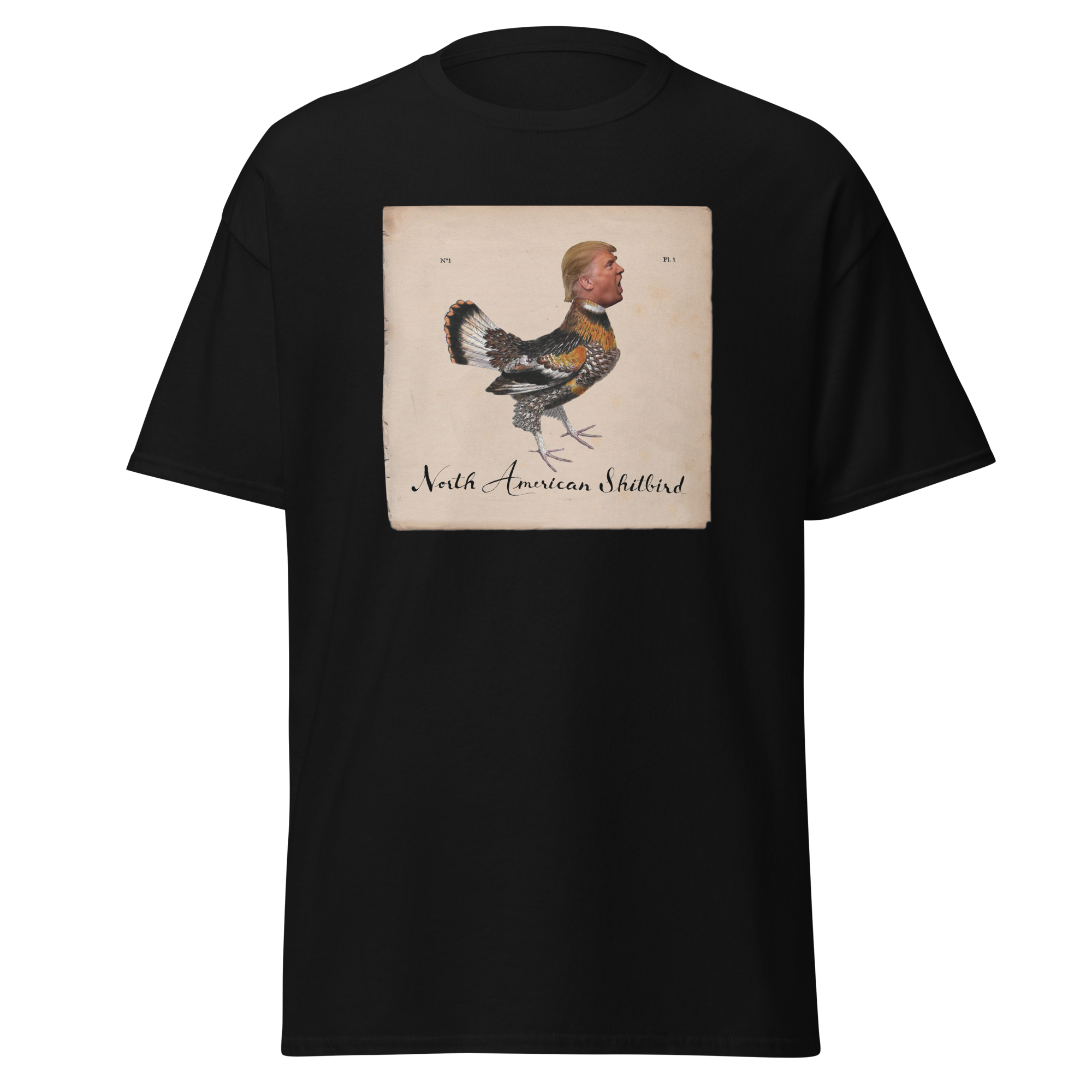 unisex-classic-tee-black-front-6a85d4a9a4517.png