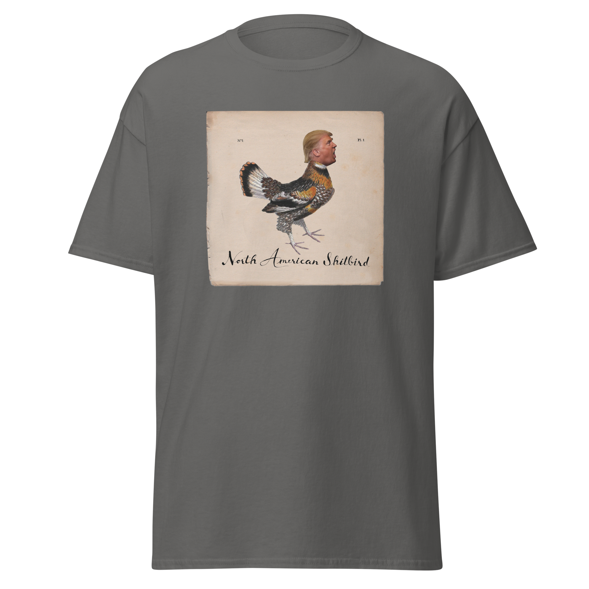 unisex-classic-tee-charcoal-front-6a85d4a9a4552.png