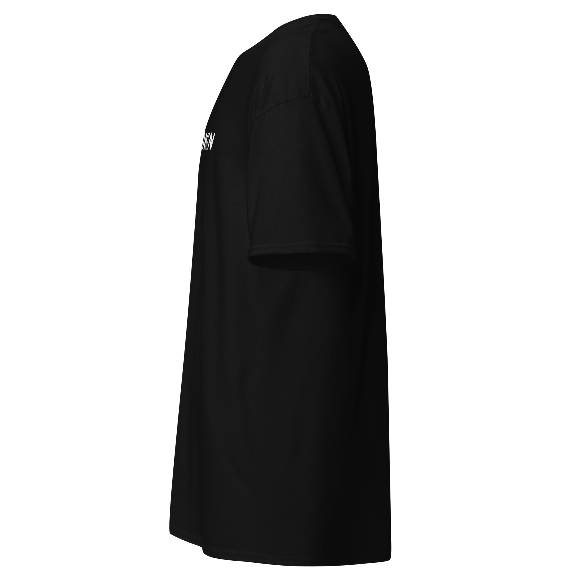 unisex-classic-tee-black-left-6a85e2779986f.png