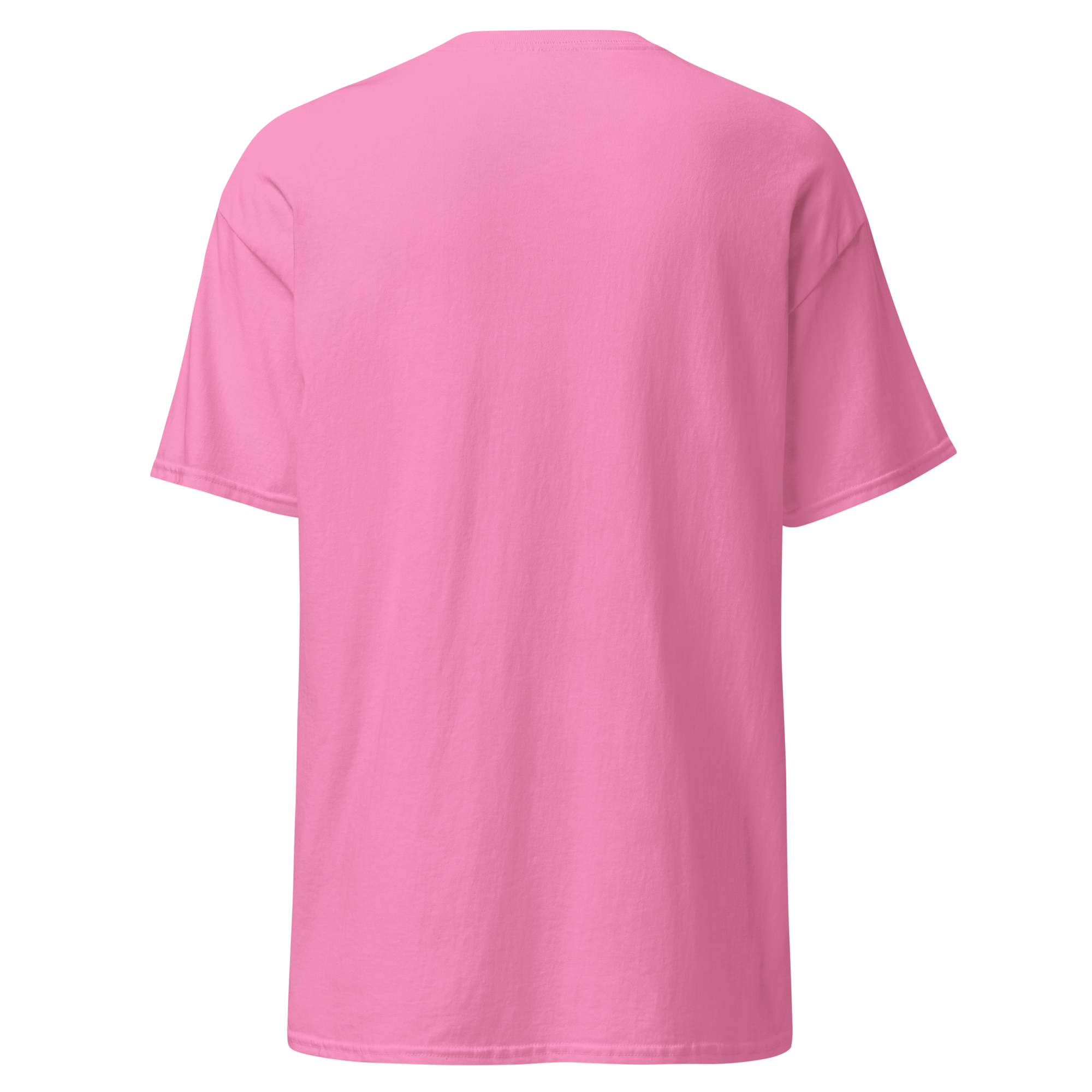 unisex-classic-tee-azalea-back-6a85e7a2e1a42.png