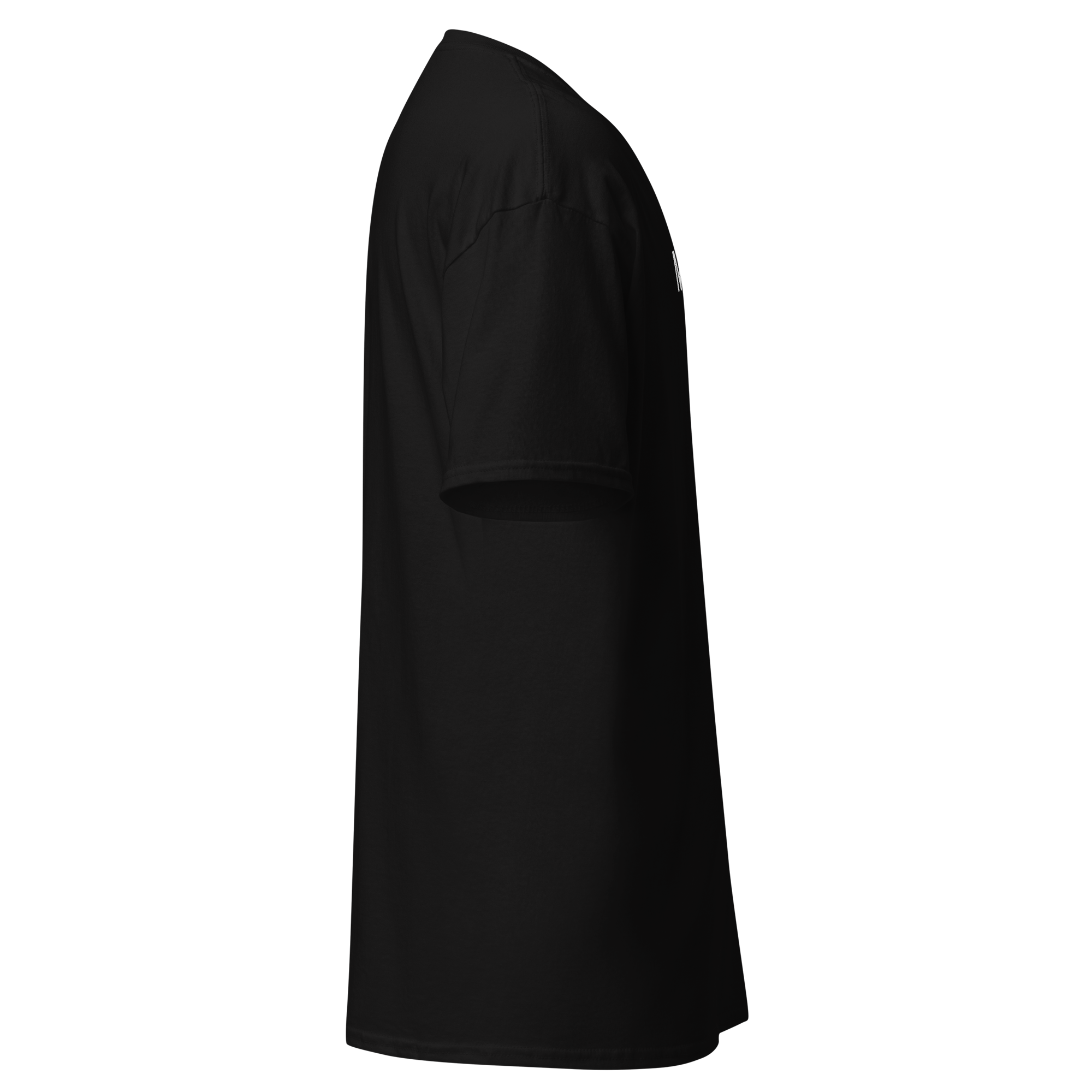 unisex-classic-tee-black-right-6a85e7f1154ae.png