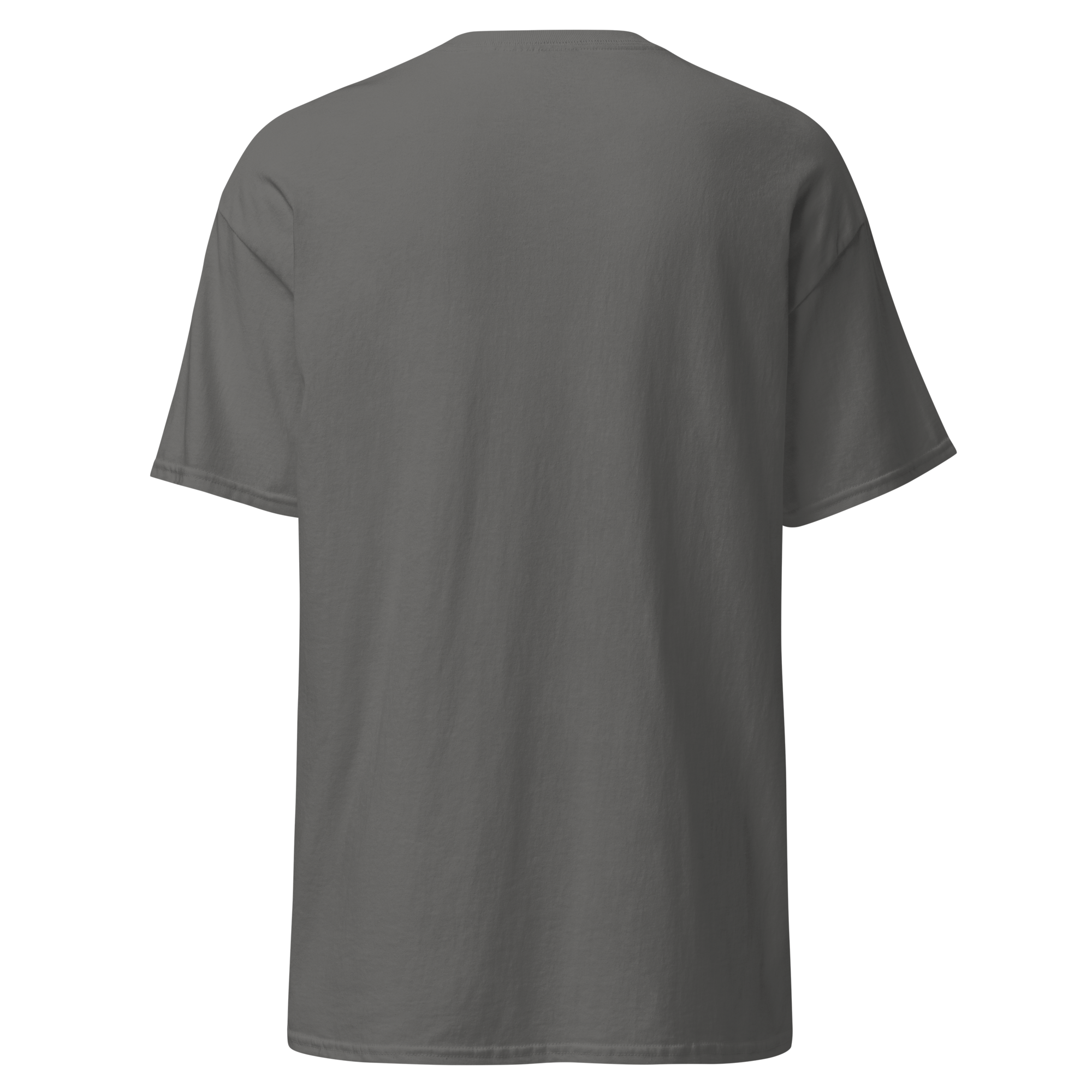 unisex-classic-tee-charcoal-back-6a85e7f114a15.png