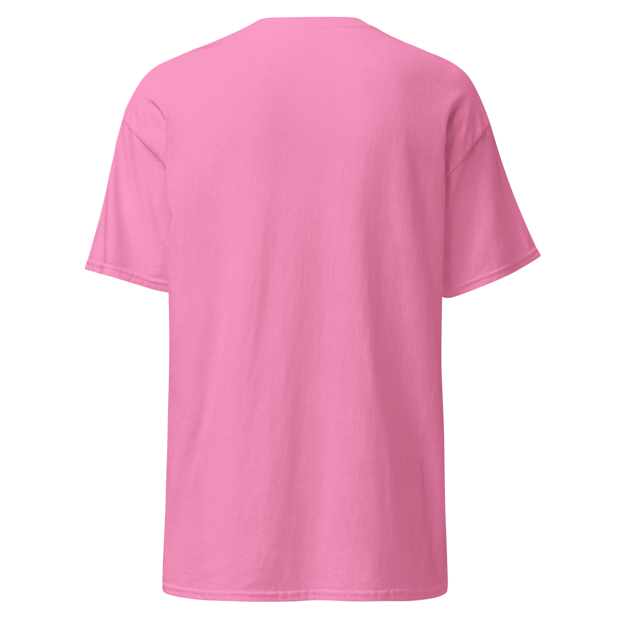 unisex-classic-tee-azalea-back-6a85e7f11497f.png