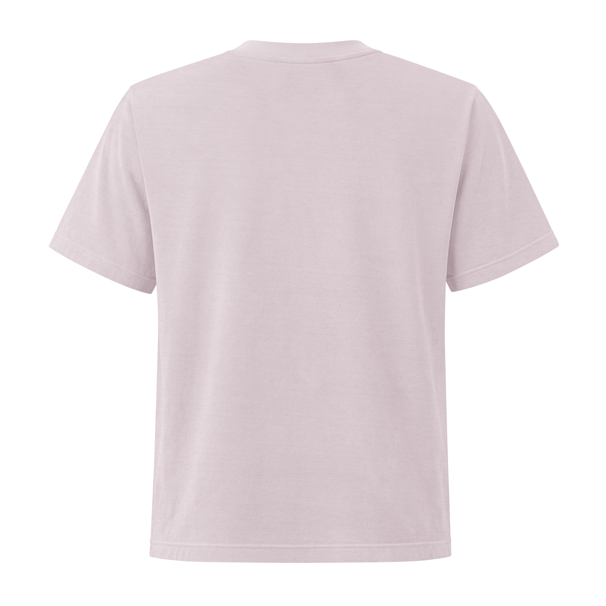 womens-heavyweight-garment-dye-tee-washed-lavender-back-6a867296936f5.png