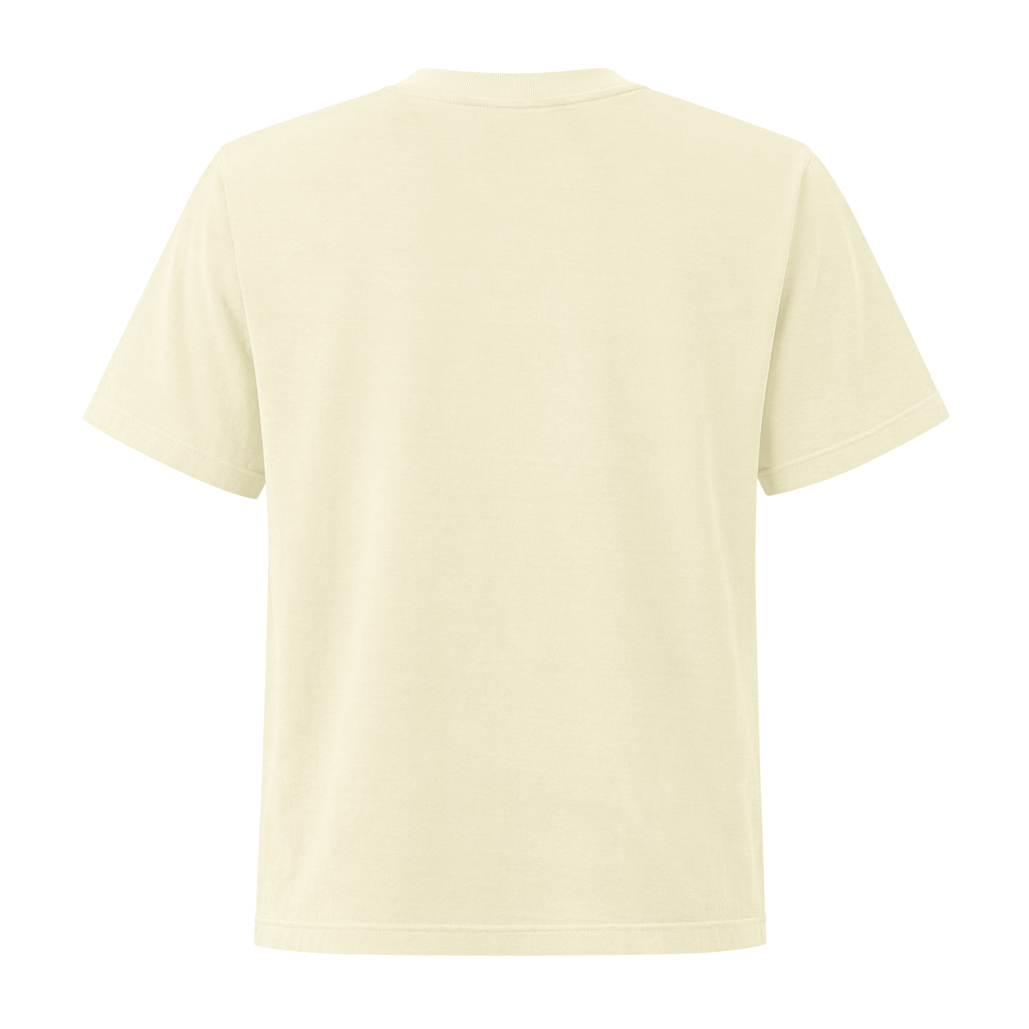 womens-heavyweight-garment-dye-tee-buttermilk-back-6a8672969367f.png