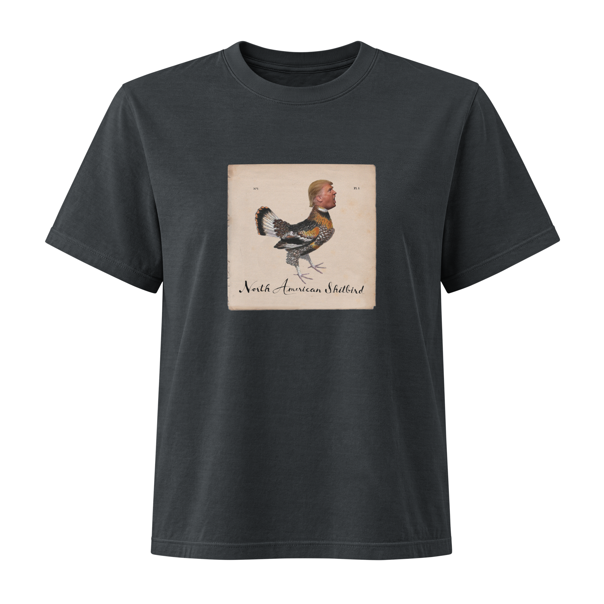 womens-heavyweight-garment-dye-tee-washed-black-front-6a8672c3aabce.png