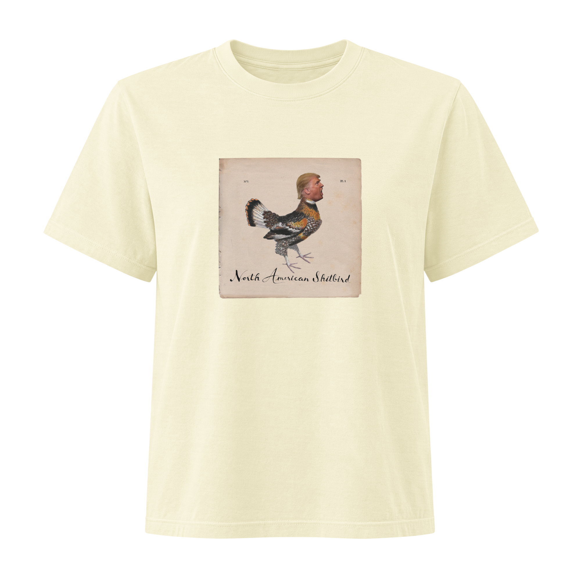 womens-heavyweight-garment-dye-tee-buttermilk-front-6a8672c3aa2f2.png