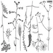 Sprigs Stamp - 1 Sheet - 12 x 12 IOD Decor Stamp