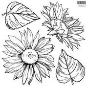 Sunflowers - 2 Sheets -  12 x 12 IOD Decor Stamps