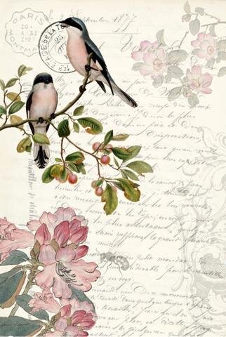 Spring Bird -  ROY 010 Roycycled Decoupage Papers