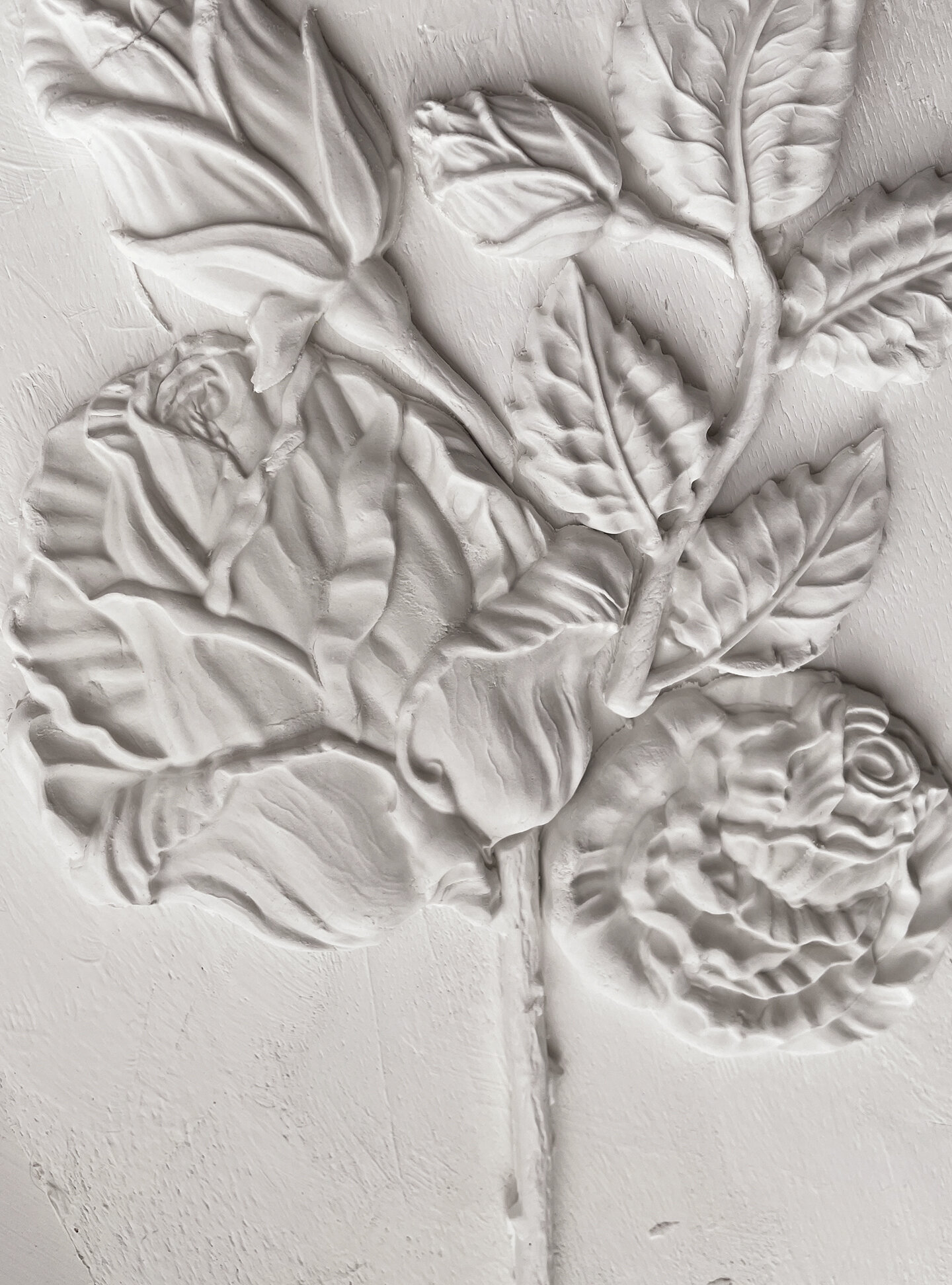 Roses_pic (1).jpeg
