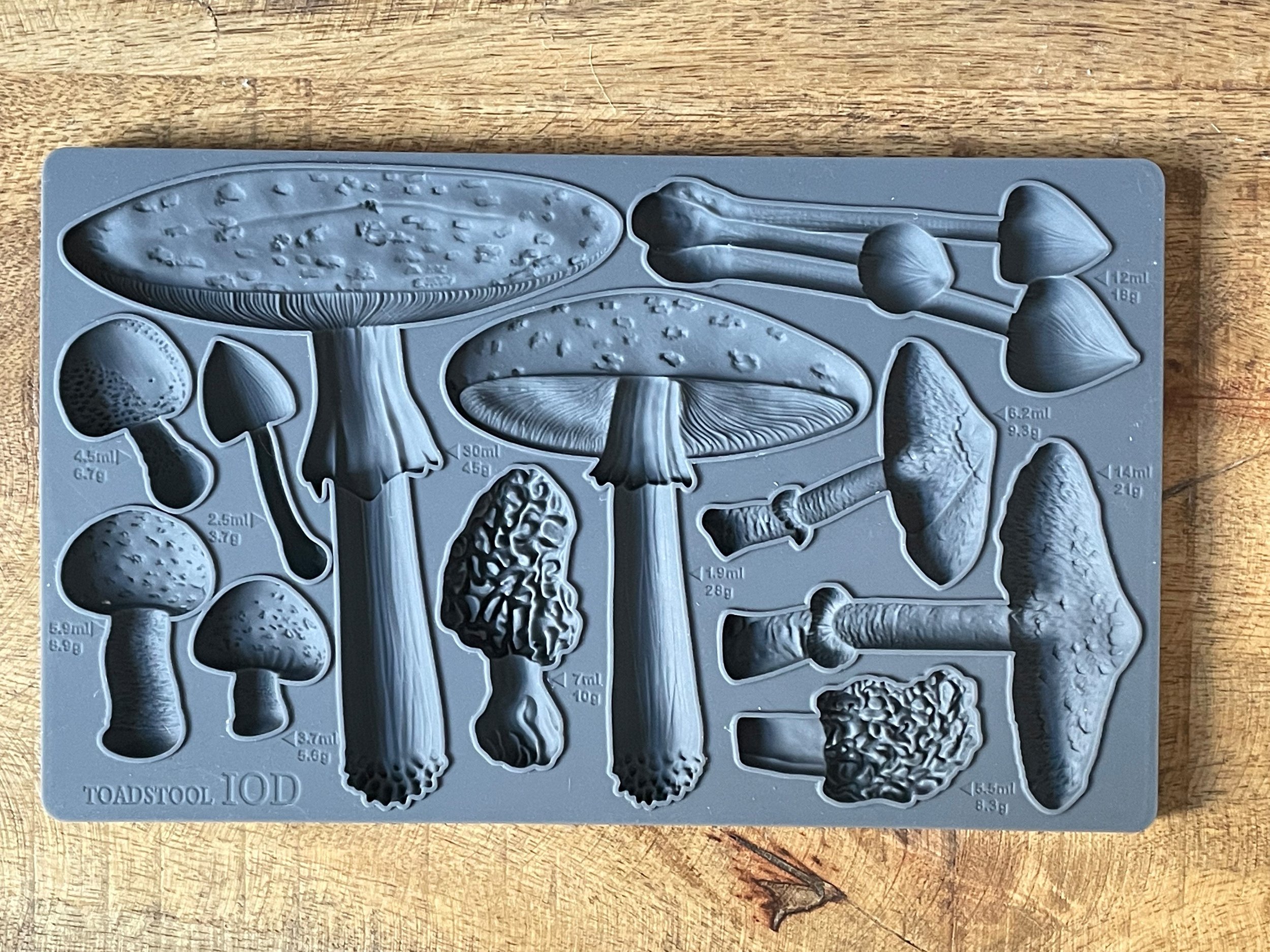 Toadstool mould.jpeg