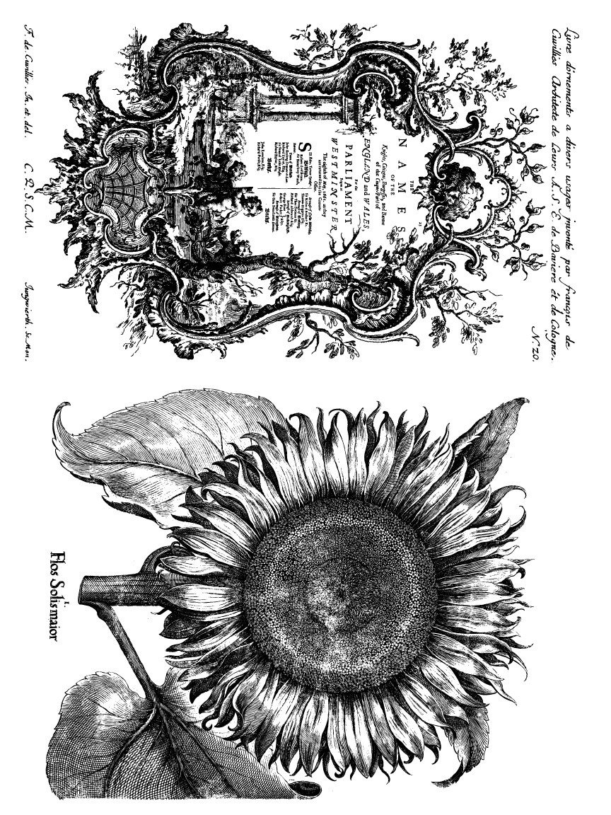 IOD-INL-MEL_Melange_small-04.jpeg