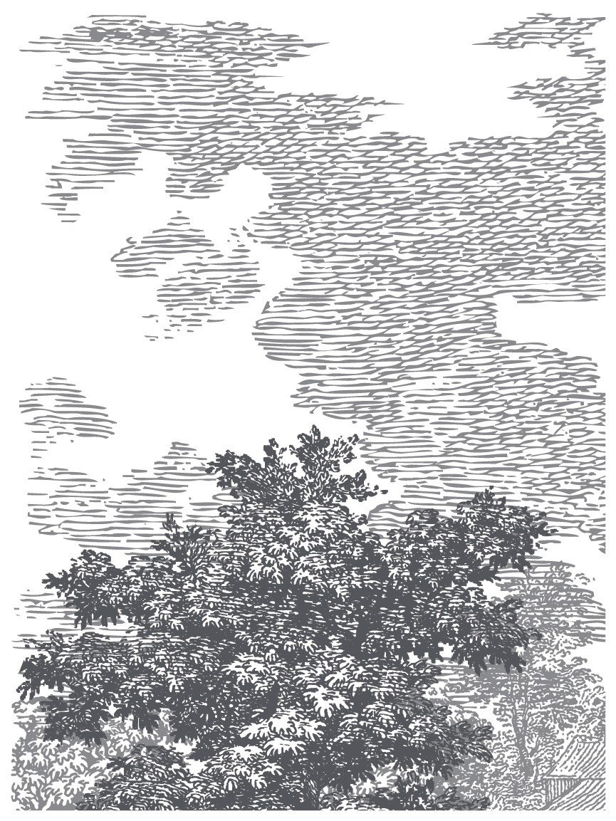 IOD-INL-SUM grey small-01.jpeg