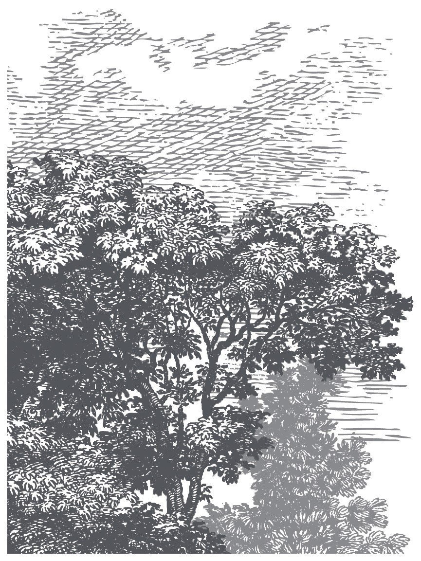 IOD-INL-SUM grey small-04.jpeg