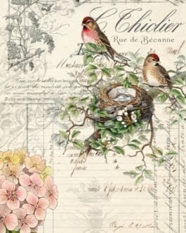 Bird Ephemera - Roycycled Decoupage Papers - Dollar Shipping Available