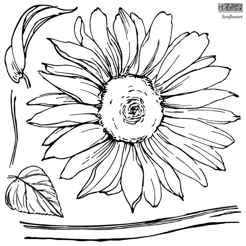 https://i.etsystatic.com/39440694/r/il/ac3b26/4753692705/il_fullxfull.4753692705_o11o.jpg