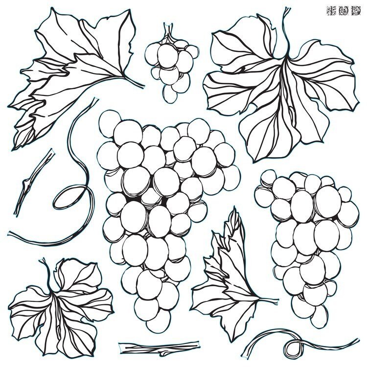RETIRED - Grapes 12 x 12 Decor IOD Stamp