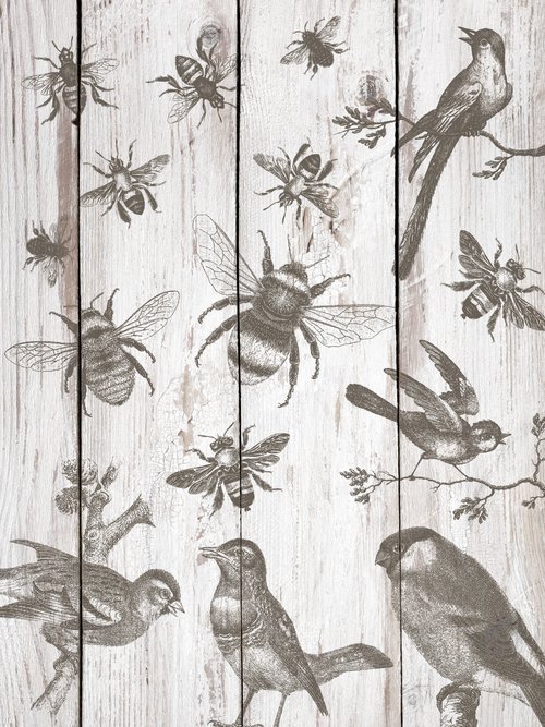 Birds & Bees - NEW SPRING 2023 - 12 x 12 Decor IOD Stamp - Sheet