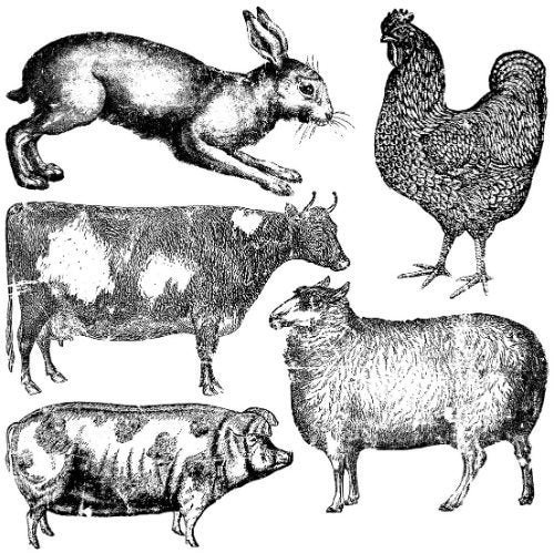 Farm Animals 12 x 12 Decor IOD Stamp