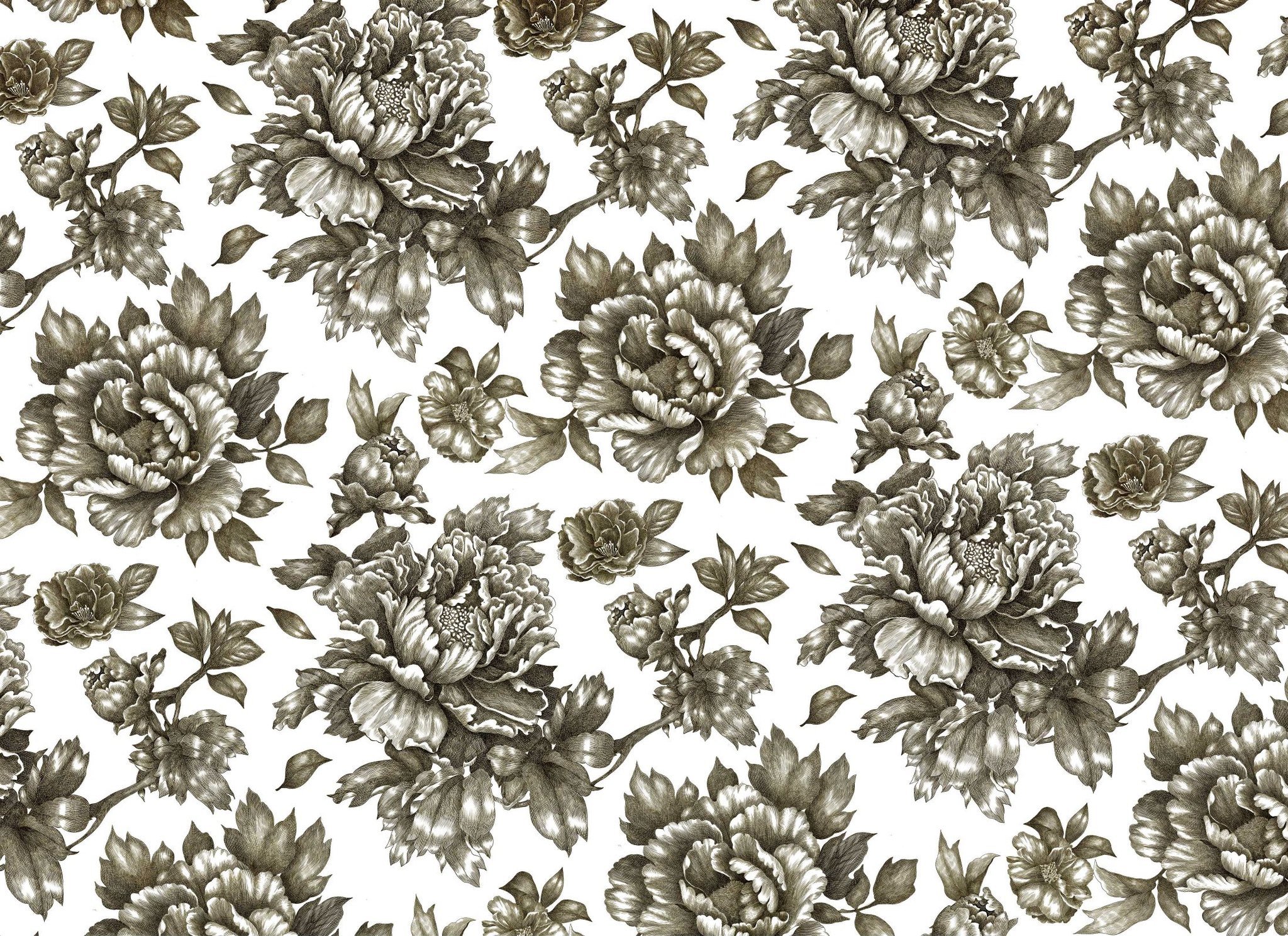 Paintable Floral.jpg