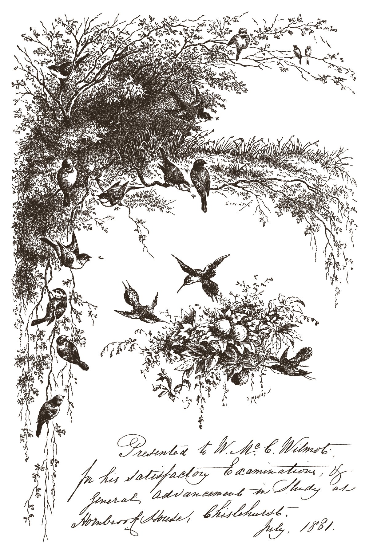 IOD-INL-LIT Little Lark artwork-05.jpg
