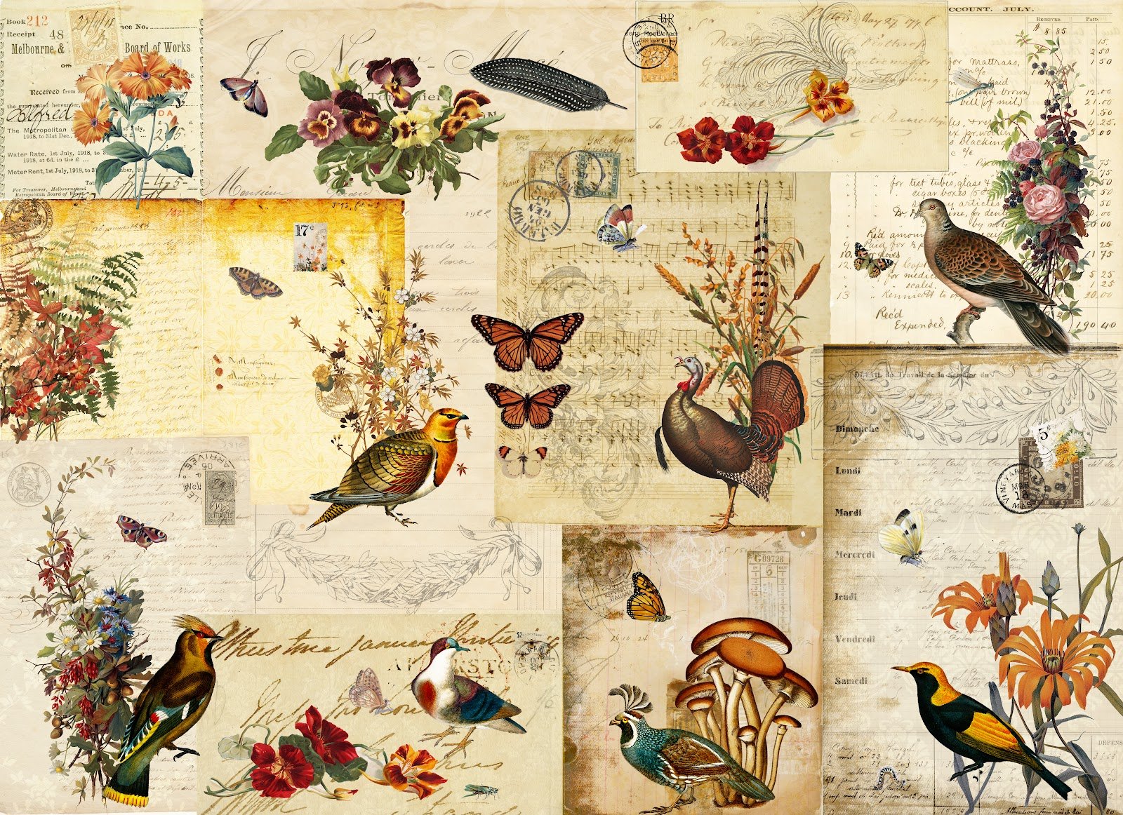 202_fall_flock_mb.jpg