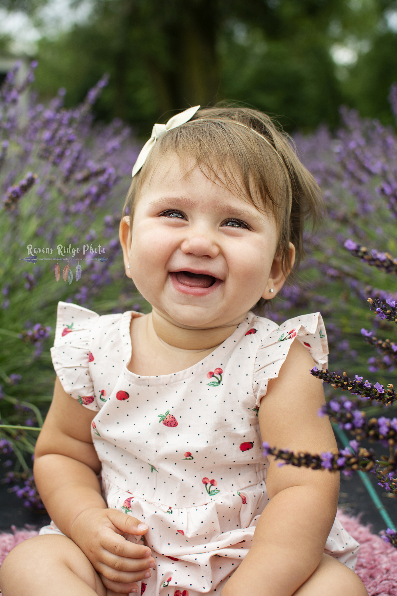 Photoo of a toddler in a lavender field Erin Ontario