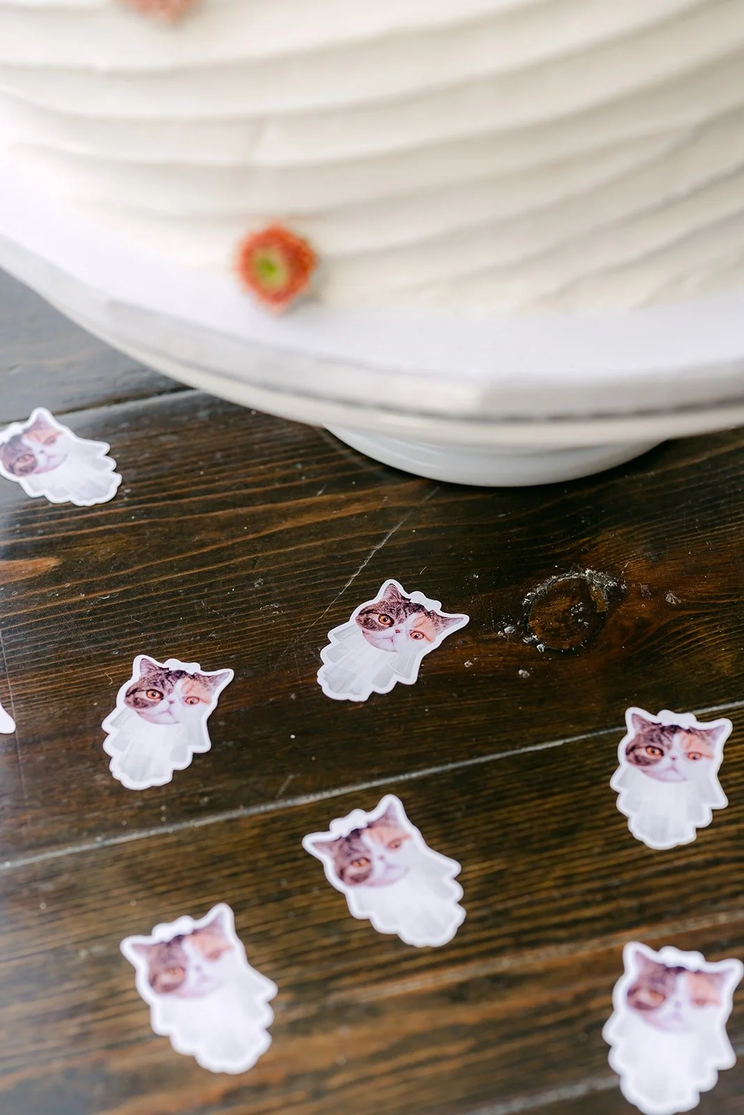Paper cutouts of their cat Josie scattered on the cake table