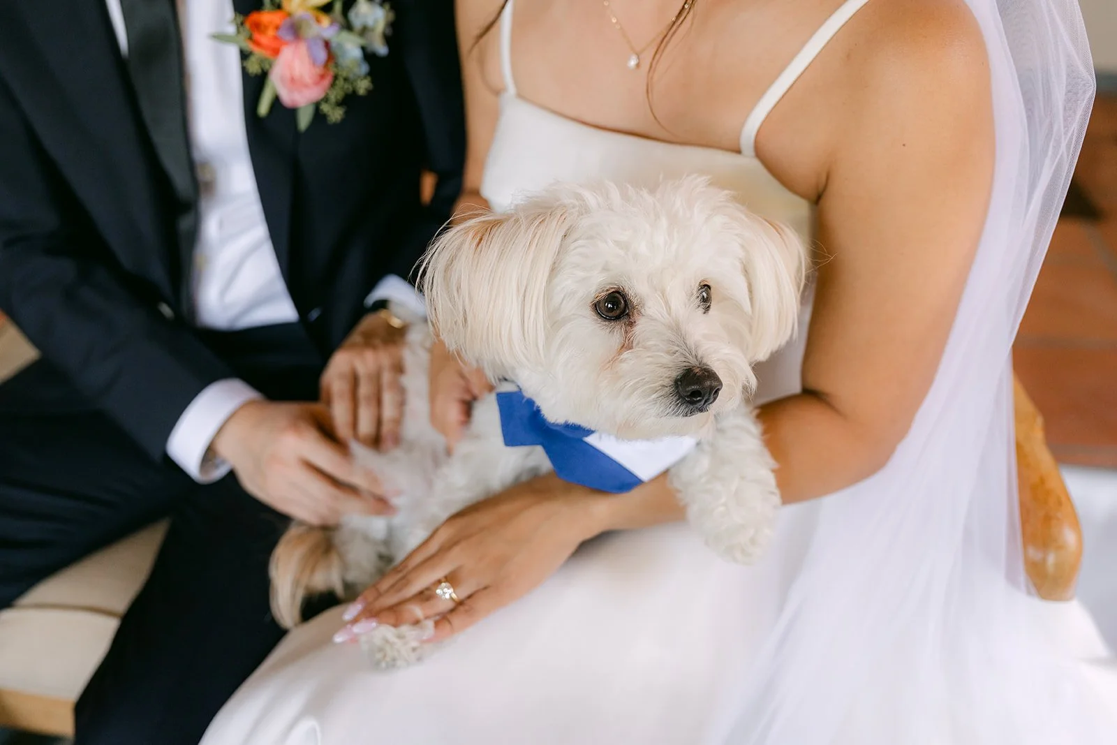 The dog resting across their laps as the rings show