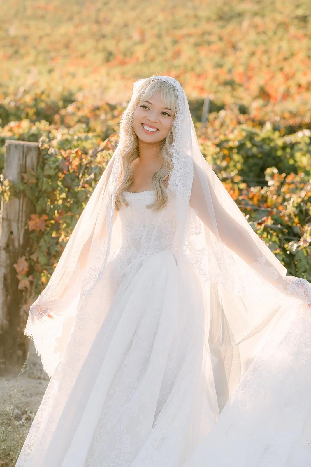 Konitha's veil lifting in the breeze against the golden vineyard