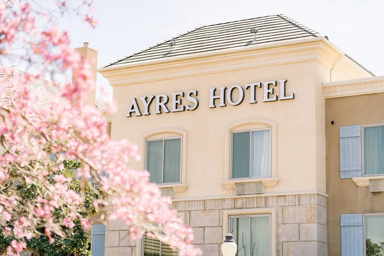 The Ayres Hotel framed by pink blossoms on the wedding morning, photographed by One and Only Production
