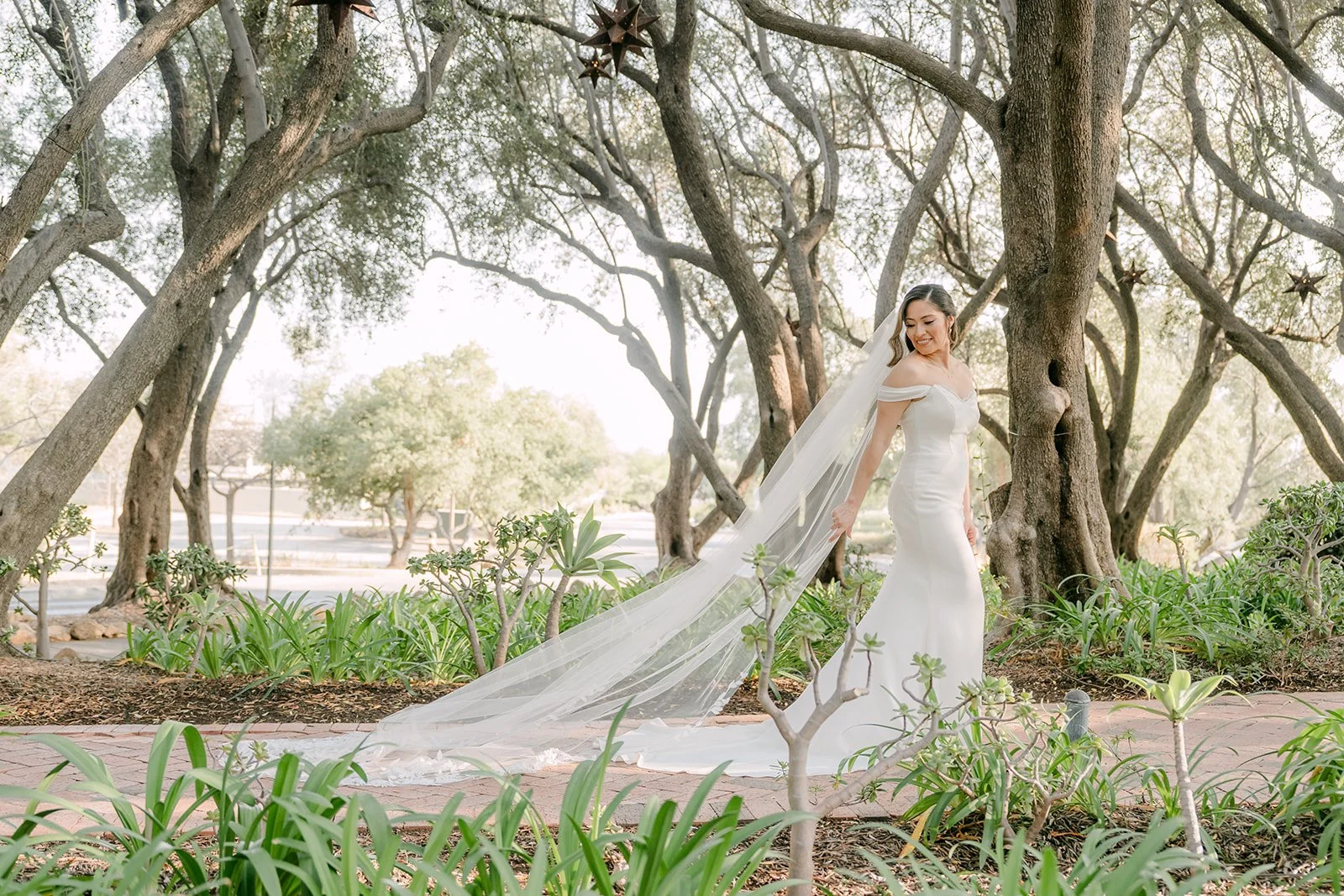 Mariana twirling her veil on the path through the olive grove, photographed by One and Only Production