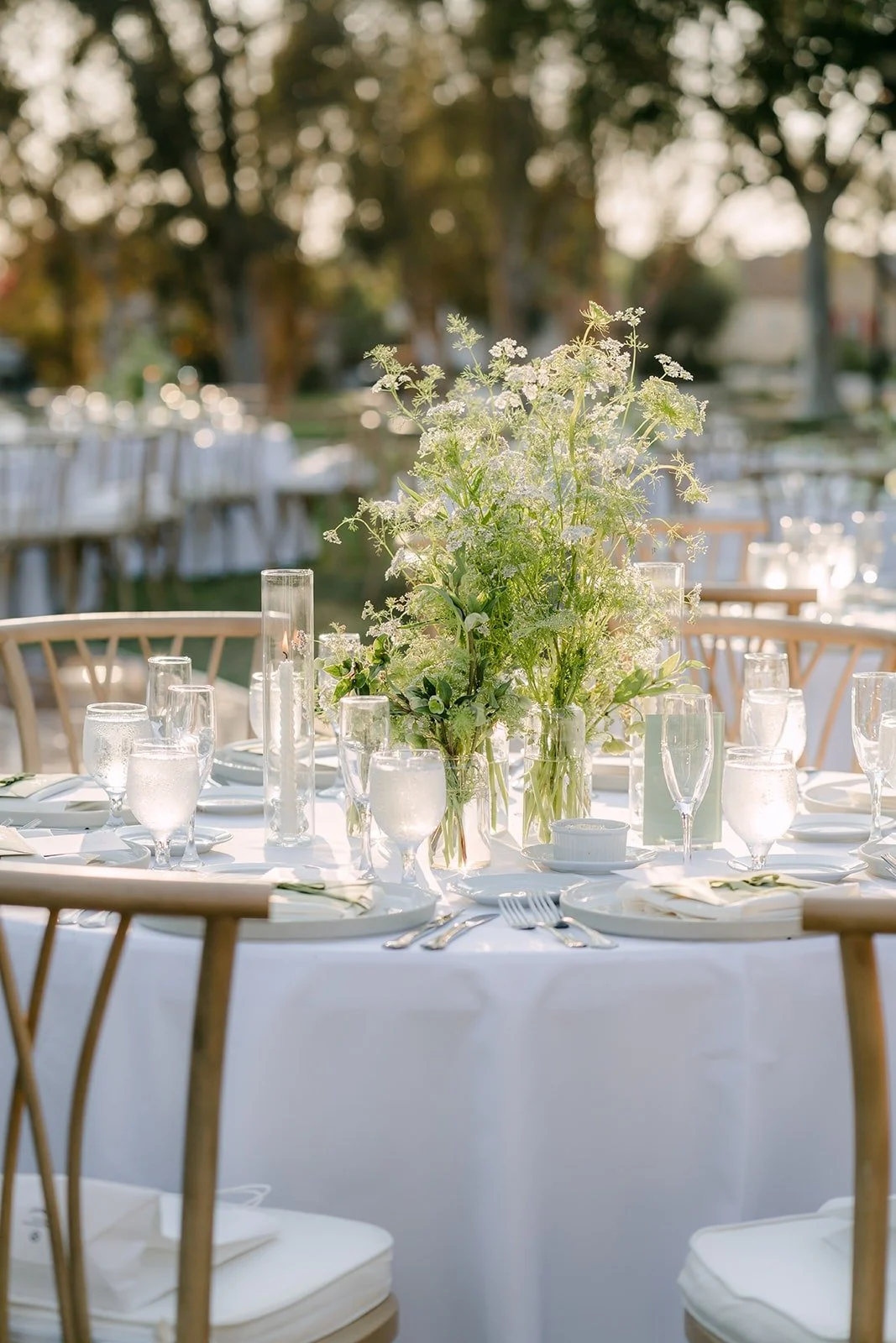 Reception tables with gold chairs and white wildflower centerpieces