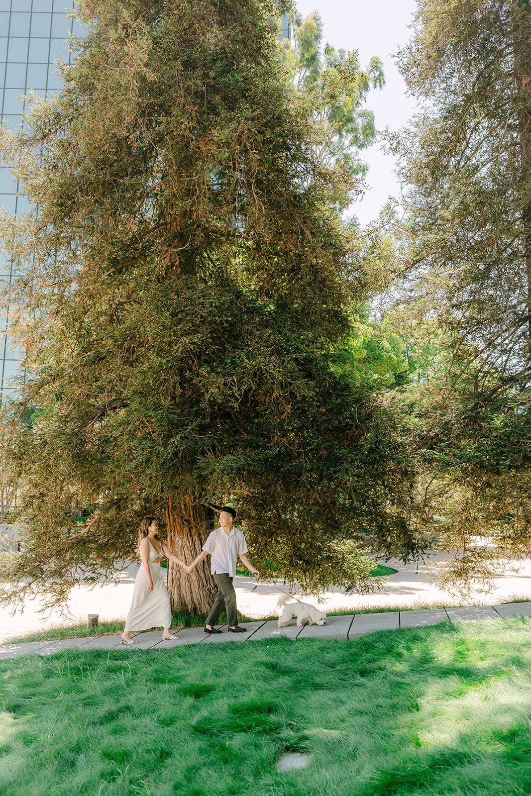 Stephanie, Alan and Tofu beneath the towering redwoods on the lawn.