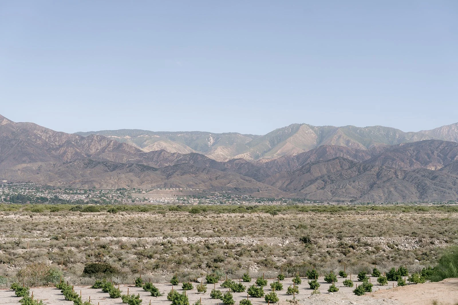 Mountain views over the fields around The Grove of Redlands, photographed by One and Only Production.