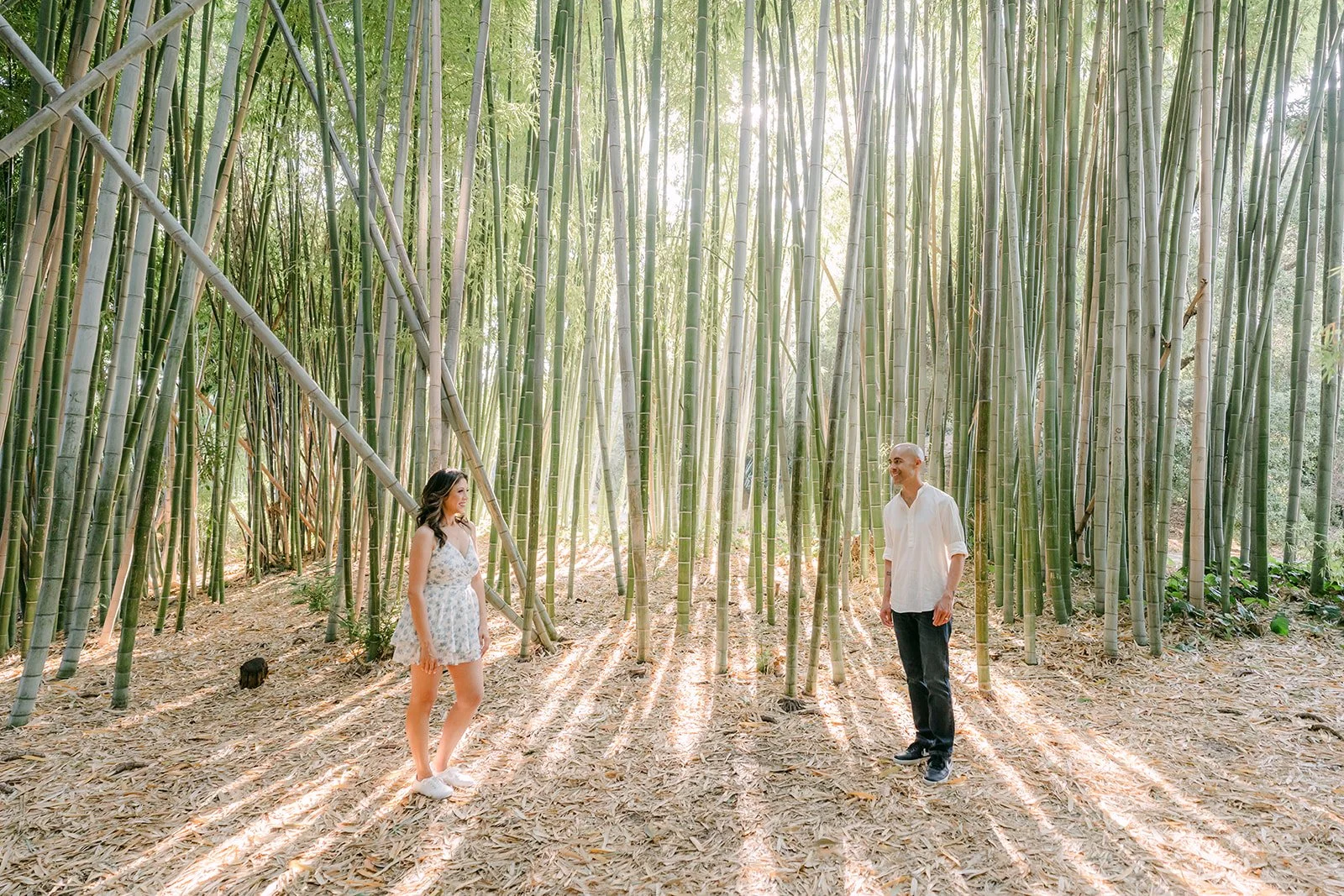 Francesca and Daniel walk hand in hand deep in the bamboo grove.