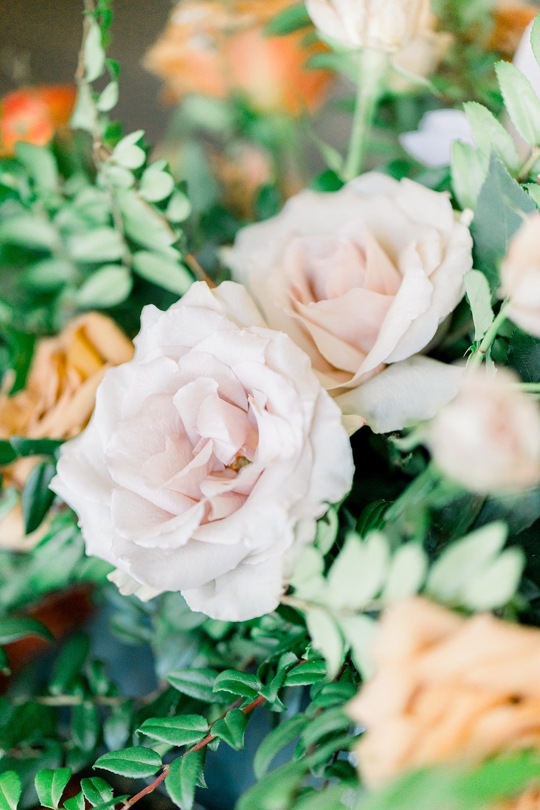 Close up of blush garden roses in the centerpieces, photographed by One and Only Production