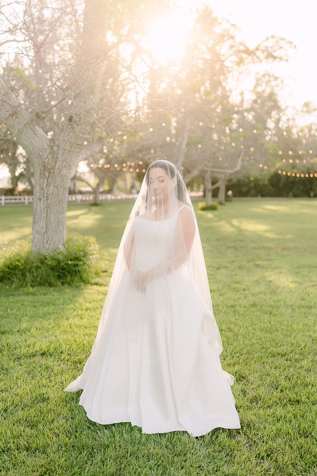 Bride under her veil in a sunlit walnut orchard