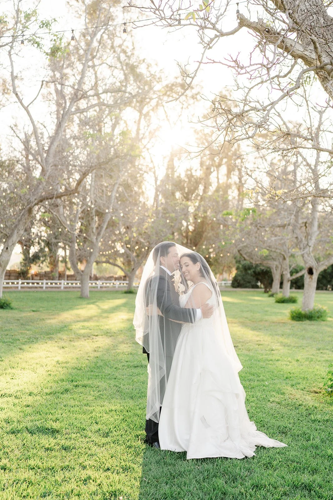 Couple kissing under the veil in a sunlit orchard